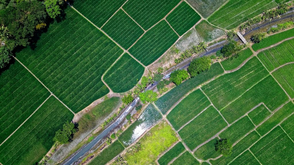 Siolim Plots for Sale